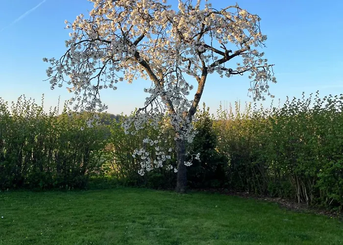 Nyaraló L'etape Normande & Jacuzzi